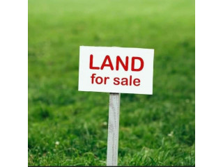 505 purches land for sale in ahangama